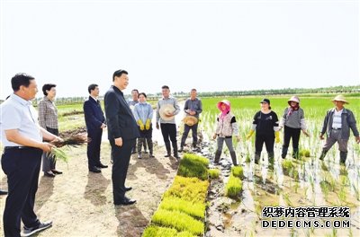 杏鑫登录网址,杏鑫娱乐登录测速