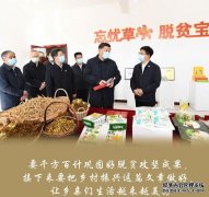 杏鑫注册蹚出新路子 书写新篇章——习近平总书