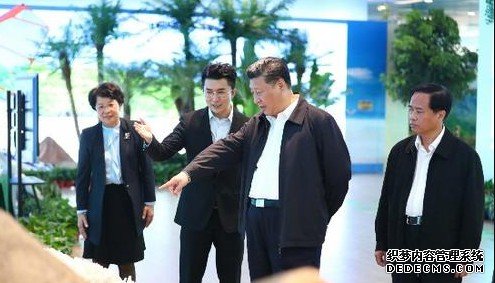 杏鑫平台注册地址,杏鑫平台注册登录