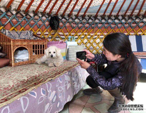 杏鑫娱乐开户,杏鑫开户流程
