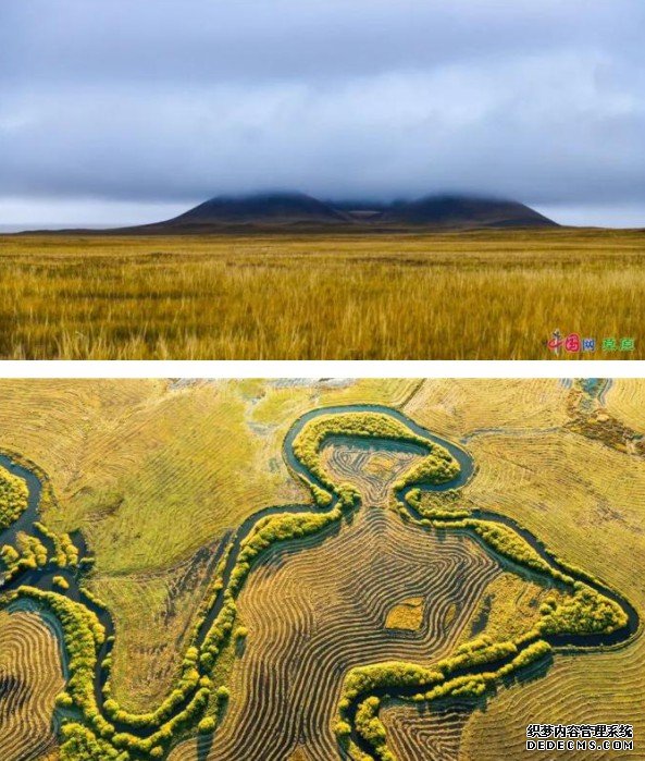 杏鑫娱乐开户,杏鑫开户流程