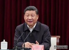 杏鑫习近平：切实做好第七次全国人口普查工作