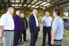 杏鑫注册做大集体经济“蛋糕” 巩固脱贫攻坚成