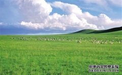杏鑫注册东乌珠穆沁旗切实加强草原生态保护建