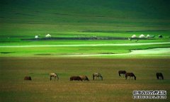 杏鑫东乌珠穆沁旗春季畜牧业生产平稳有序