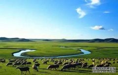杏鑫开户东乌珠穆沁旗大力发展现代化草原畜牧