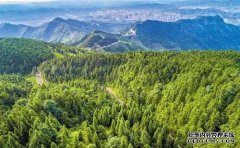 杏鑫注册多伦县创新三项机制推动生态林业发展