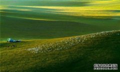 杏鑫注册现代草地畜牧业生产技术在白音锡勒牧