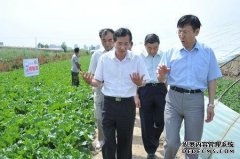 杏鑫注册村级基层社 成为农民的贴心社
