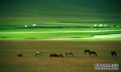 杏鑫开户东乌珠穆沁旗壮大文化旅游业